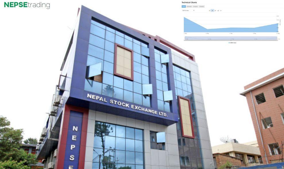 नेप्सेले दिएको पीडा, साताभर कस्तो देखियो बजार ?