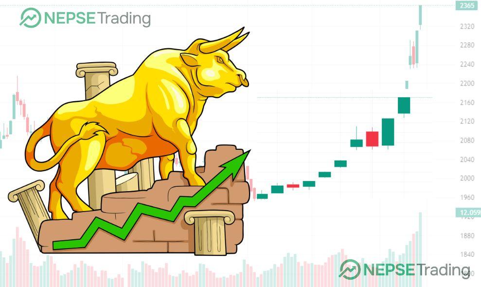 सेयर बजारमा उकालो यात्रा जारी, के बुल आएको हो ?