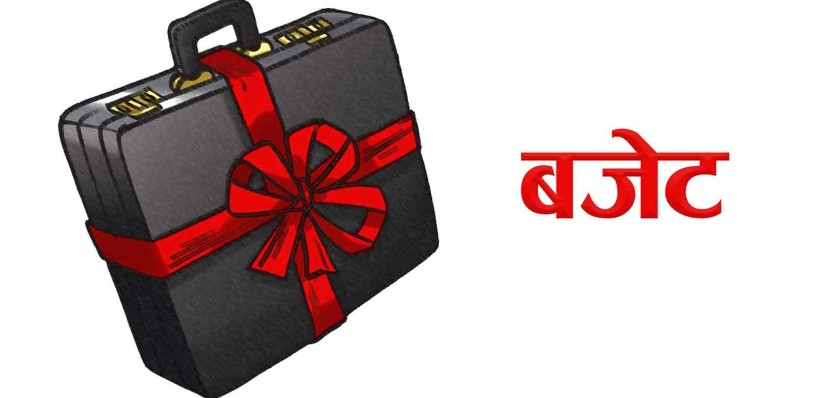 आगामी बजेट निजी क्षेत्रको विश्वास जित्ने खालको हुनुपर्छ : जानकारहरूको सुझाव