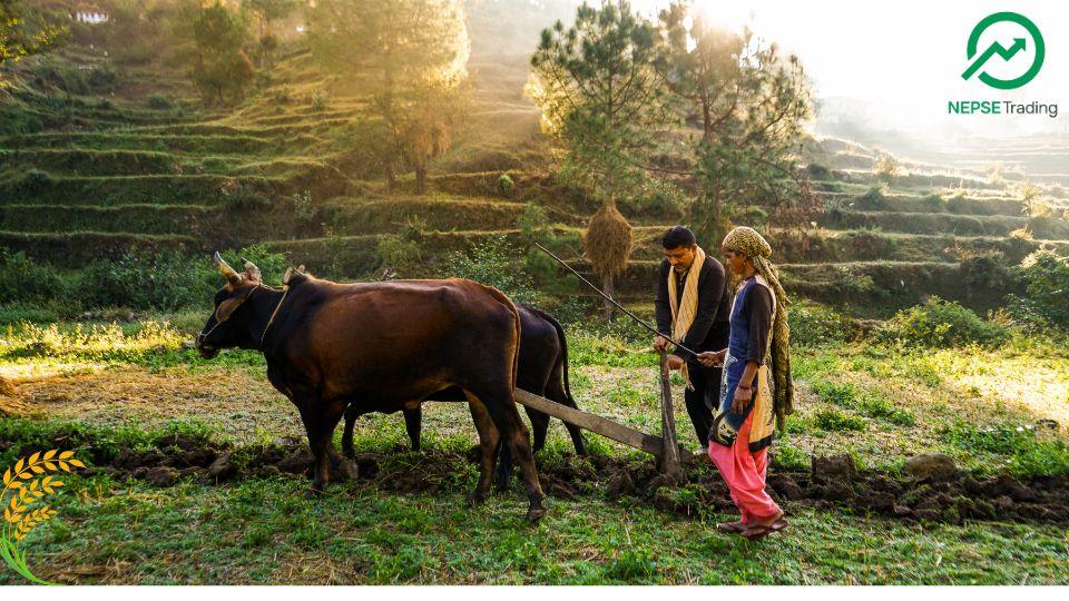 २०८२ बैशाखसम्म सहुलियतपूर्ण कृषि कर्जामा ८५ अर्बभन्दा बढी लगानी, ६२ अर्बभन्दा बढी अझै फिर्ता आउन बाँकी