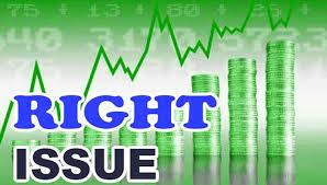 नारायणी डेभलपमेन्ट बैंकको शतप्रतिशत हकप्रद शेयरमा आजदेखि आवेदन खुला