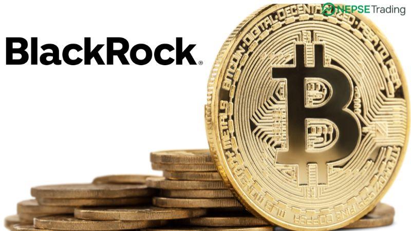 ब्ल्याकरकको सबैभन्दा नाफामूलक फन्ड अब बिटक्वाइन ETF, करिब १०० अर्ब डलरको परिसम्पत्तिमा पुग्दै