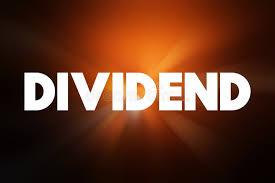 एनएलजी इन्स्योरेन्सले ७ प्रतिशत लाभांश घोषणा गर्यो